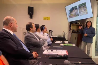 Sernageomin lidera mesa técnica ante emergencia por remociones en masa en Queule