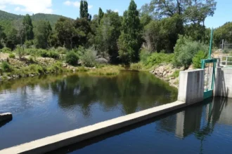 SMA formula cargos graves a Hidroangol: reforestación con 0,4% de supervivencia y caudal ecológico bajo la lupa en La Araucanía