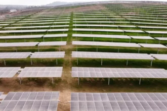 Solek Chile Services busca reorganizarse ante crisis financiera y regulatoria en Chile