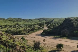 Sondajes en Lithium Ridge: el proyecto de SQM en Namibia marca hasta 3,02% Li₂O y suma estaño y tantalio