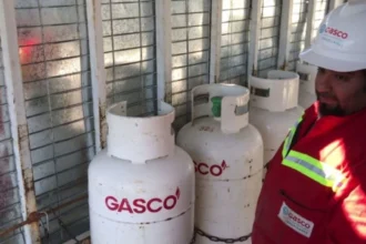 Subsidio de Gas Licuado: requisito del 80% en el Registro Social de Hogares define acceso al beneficio