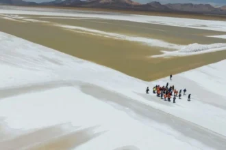 Suspensión de faenas en Salar de Surire: tribunal revisa medida que podría reactivar parcialmente operaciones de Quiborax