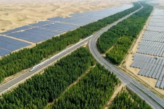 Taklamakán: el cinturón verde de 3.000 km que China cerró tras 46 años y lo que los virales mezclan
