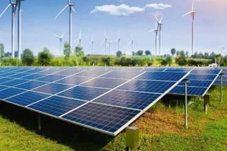 Taurina mejora durabilidad de células solares y promete revolución en energía limpia