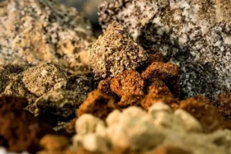 Tierras raras en Chile: plan a 12 meses de Chilean Cobalt acelera proyecto NeoRe y abre nuevo distrito
