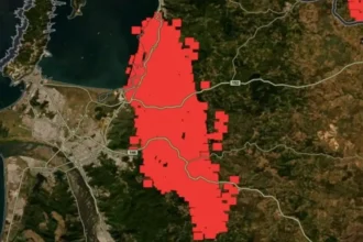 Tierras raras: incendio llega al Fundo Coihueco y reabre la disputa por el proyecto de US$130 millones en Penco