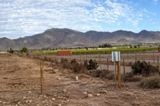 Tribunal Ambiental anula rechazo del proyecto minero San Cayetano y ordena nueva etapa de evaluación