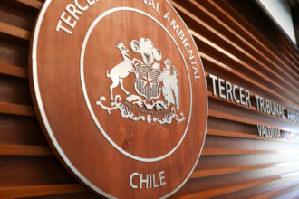 Tribunal Ambiental: hidroeléctrica de pasada El Rincón queda sin Resolución de Calificación Ambiental favorable