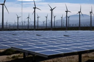 Trump congela proyectos de energías renovables y golpea el futuro energético de EE.UU.