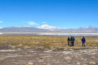 UDA y GFZ cumplen 10 años de colaboración científica en Atacama y proyectan nuevos estudios geobiológicos