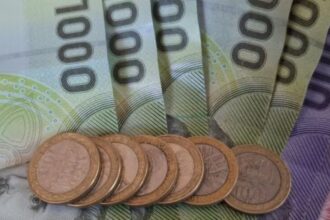 Últimos Días para Acceder a Bonos y Subsidios Estatales para Mujeres en Abril: Oportunidades en Trabajo y Maternidad