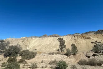 Universidad de Atacama lidera innovación que convierte relaves mineros en nuevos recursos para la industria