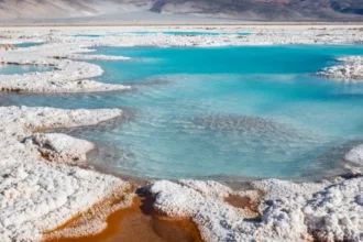 Universidad de Atacama lidera innovador proyecto de extracción selectiva de litio
