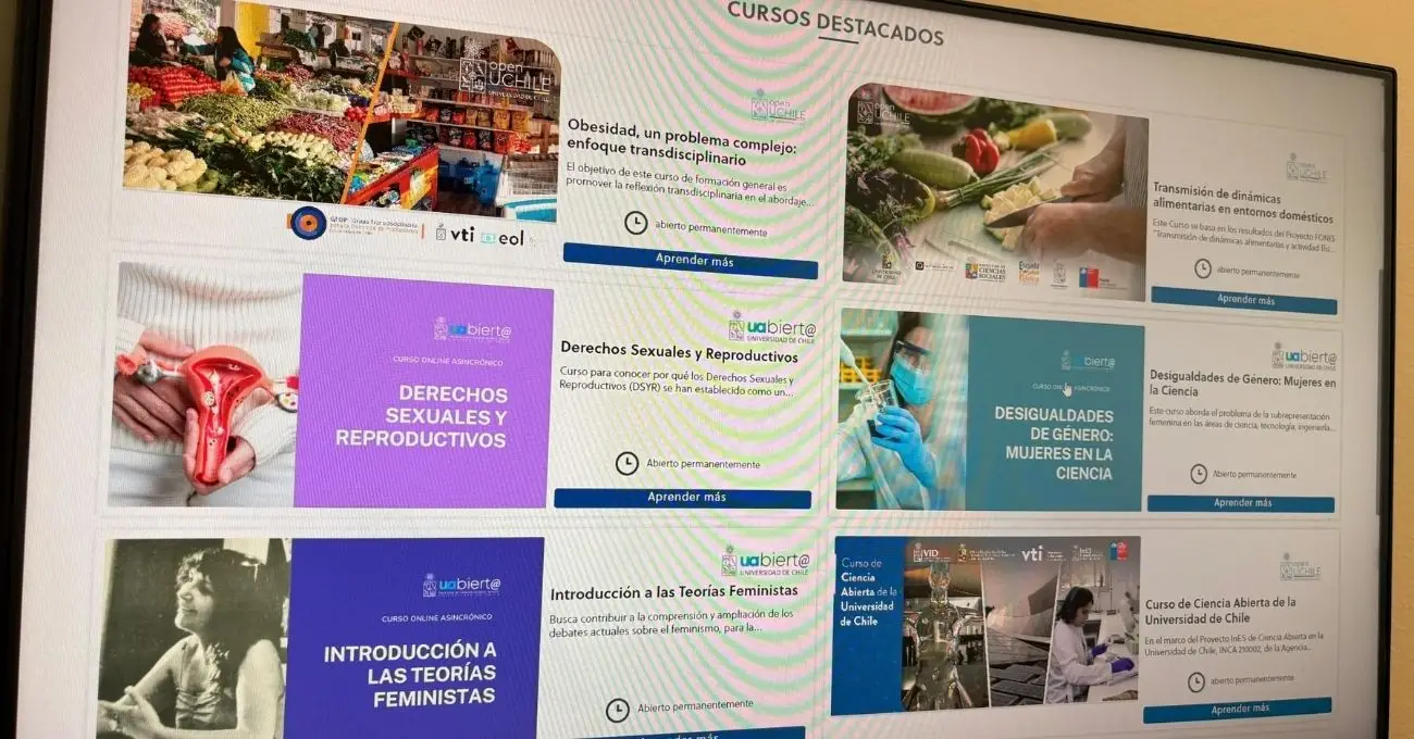 Universidad de Chile ofrece cursos gratuitos en su plataforma Open UChile