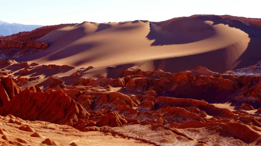 Microorganismos del Desierto de Atacama serán enviados al espacio para estudios de habitabilidad