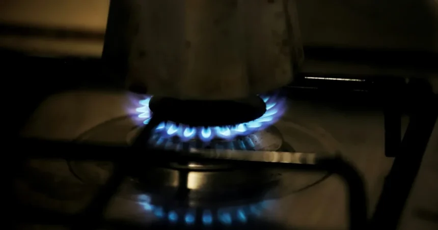 Subsidio de Gas Licuado: Requisitos y detalles para acceder al beneficio