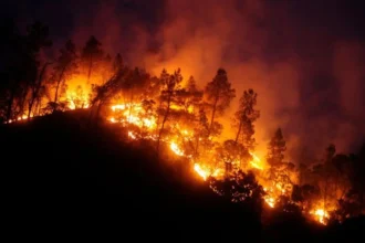 Volcamiento de carro bomba deja siete voluntarios lesionados en combate de incendios forestales en Florida