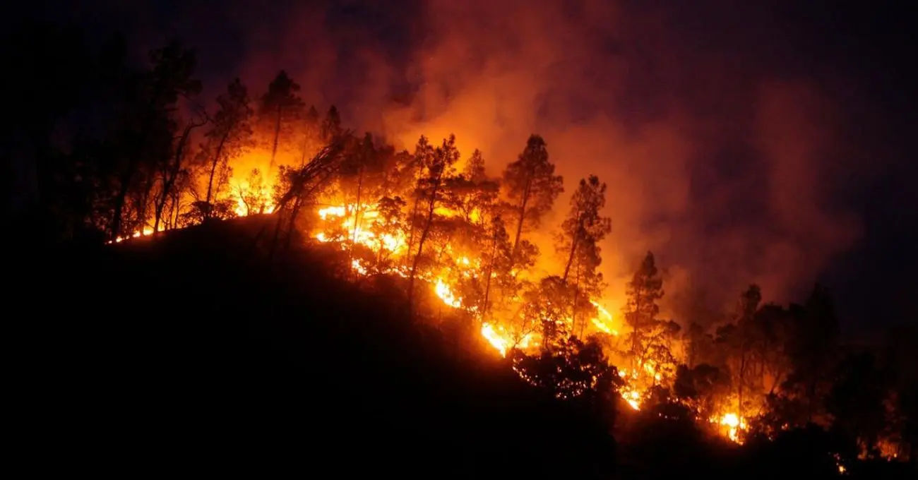 Volcamiento de carro bomba deja siete voluntarios lesionados en combate de incendios forestales en Florida