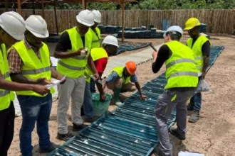 Zodiac Gold Inc. expande el sistema aurifero a escala distrital en Ben Ben con un resultado en trinchera de 56 m a 0,40 g/t UA y múltiples tendencias mineralizadas